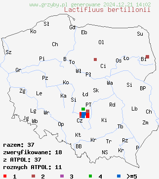 znaleziska Lactifluus bertillonii (mleczajowiec piekący) na terenie Polski