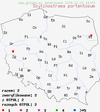 znaleziska Scytinostroma portentosum (skórówka kulistozarodnikowa) na terenie Polski