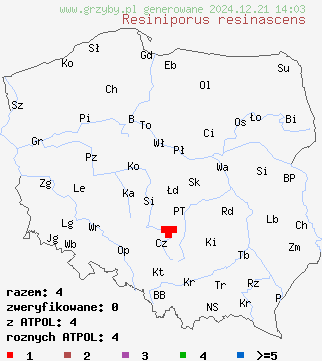 znaleziska Resiniporus resinascens (woszczyneczka żywiczna) na terenie Polski