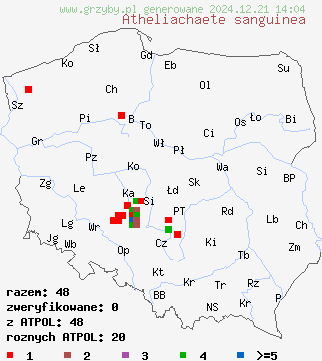 znaleziska Atheliachaete sanguinea (korownica krwawa) na terenie Polski