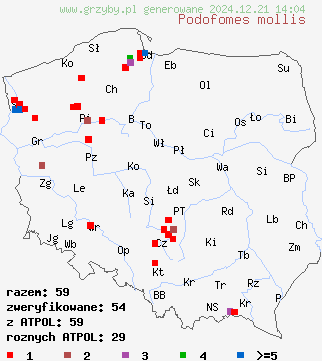 znaleziska Podofomes mollis (żagwiak wielkopory) na terenie Polski