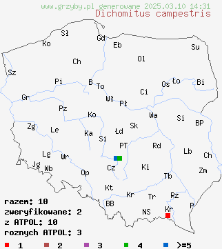 znaleziska Dichomitus campestris (czarnoporek poduszeczkowaty) na terenie Polski