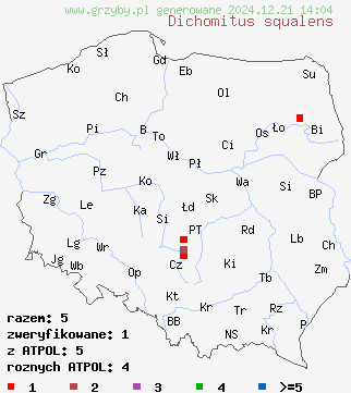 znaleziska Dichomitus squalens (czarnoporek wrośniakowaty) na terenie Polski