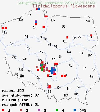 znaleziska Diplomitoporus flavescens (wrośniaczek sosnowy) na terenie Polski