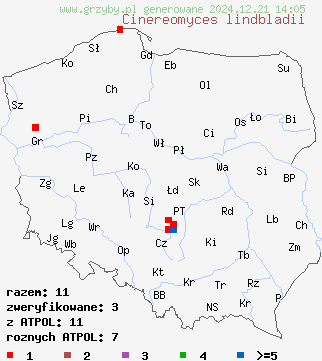 znaleziska Cinereomyces lindbladii (wrośniaczek żelatynowaty) na terenie Polski