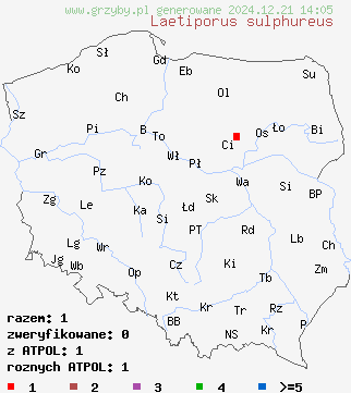 znaleziska Laetiporus sulphureus (żółciakiem siarkowym) na terenie Polski