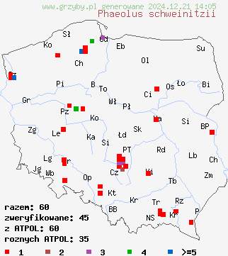 znaleziska Phaeolus schweinitzii (murszak rdzawy) na terenie Polski