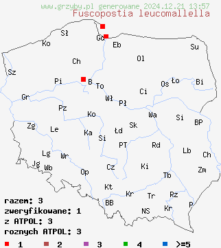 znaleziska Fuscopostia leucomallella (rdzawoporek rozwierkowy) na terenie Polski