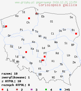 znaleziska Coriolopsis gallica (włochatka ciemna) na terenie Polski