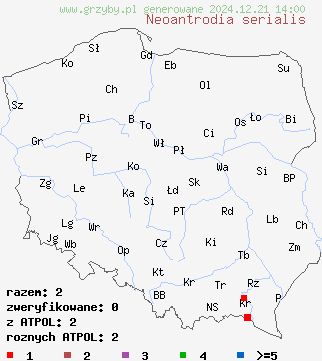 znaleziska Neoantrodia serialis (jamkokora rzędowa) na terenie Polski