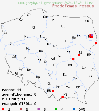 znaleziska Rhodofomes roseus (pniareczka różowa) na terenie Polski