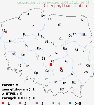 znaleziska Gloeophyllum trabeum (niszczyca belkowa) na terenie Polski