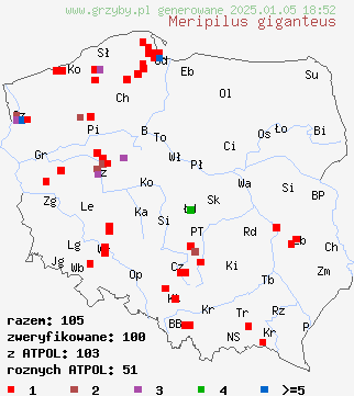 znaleziska Meripilus giganteus (wachlarzowiec olbrzymi) na terenie Polski