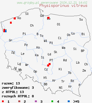 znaleziska Physisporinus vitreus (zmiennoporek szklisty) na terenie Polski