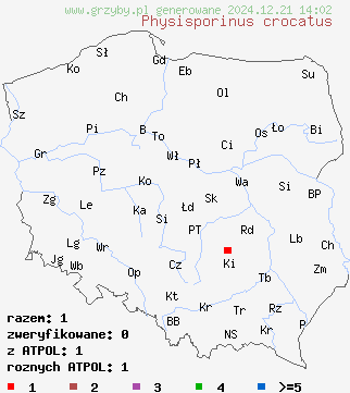 znaleziska Physisporinus crocatus (twardoporek czerniejący) na terenie Polski