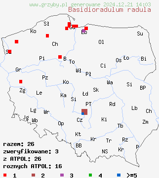 znaleziska Basidioradulum radula (nakorownik radełkowaty) na terenie Polski