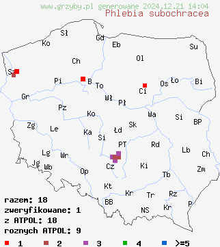 znaleziska Phlebia subochracea (żylak czerwonobrązowy) na terenie Polski