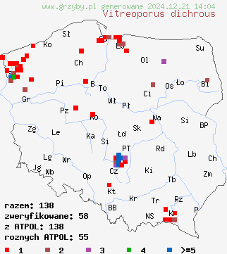 znaleziska Vitreoporus dichrous (klejoporek dwubarwny) na terenie Polski