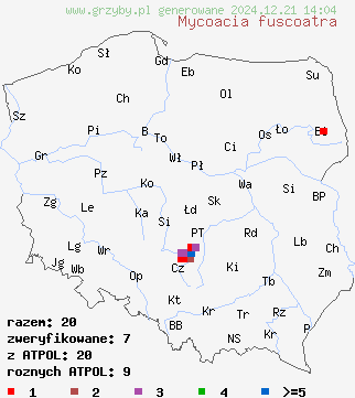 znaleziska Mycoacia fuscoatra (woszczyneczka czerniejąca) na terenie Polski