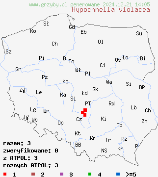 znaleziska Hypochnella violacea (nalotniczka fioletowa) na terenie Polski