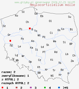 znaleziska Amylocorticiellum molle (nalotniczek miękki) na terenie Polski