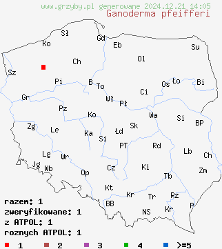 znaleziska Ganoderma pfeifferi (lakownica czerwonawa) na terenie Polski