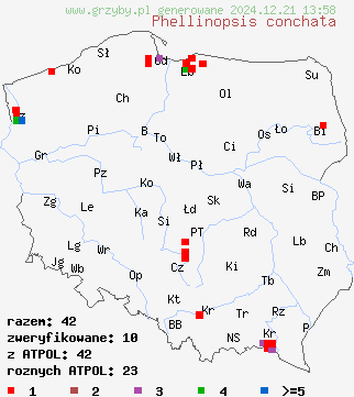 znaleziska Phellinopsis conchata (czyreń muszlowy) na terenie Polski