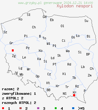 znaleziska Xylodon nespori (strzępkoząb krótkokolczasty) na terenie Polski