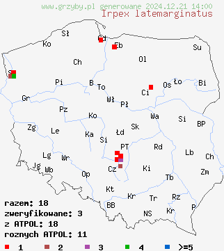 znaleziska Irpex latemarginatus (napień kruchy) na terenie Polski