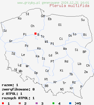 znaleziska Pterula multifida (piórniczka rozgałęziona) na terenie Polski