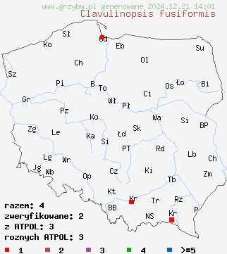 znaleziska Clavulinopsis fusiformis (goździeniowiec wrzecionowaty) na terenie Polski