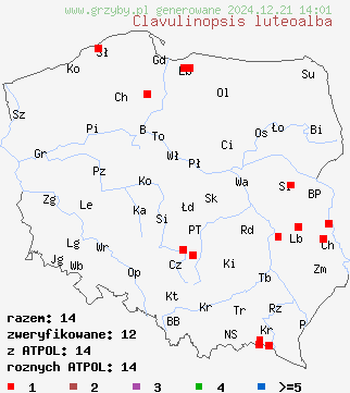 znaleziska Clavulinopsis luteoalba (goździeniowiec żółtobiały) na terenie Polski