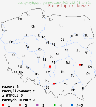 znaleziska Ramariopsis kunzei (koralownik białawy) na terenie Polski