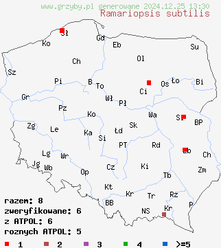 znaleziska Ramariopsis subtilis (koralownik drobny) na terenie Polski