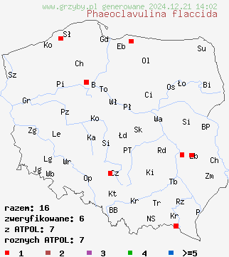 znaleziska Phaeoclavulina flaccida (koralówka zwiędła) na terenie Polski