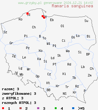 znaleziska Ramaria sanguinea (koralówka czerwieniejąca) na terenie Polski