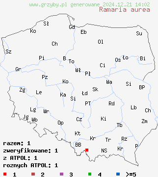 znaleziska Ramaria aurea (koralówka złocista) na terenie Polski