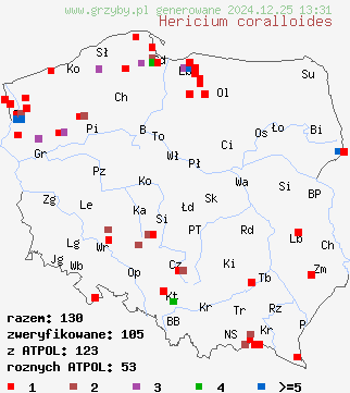 znaleziska Hericium coralloides (soplówka bukowa) na terenie Polski