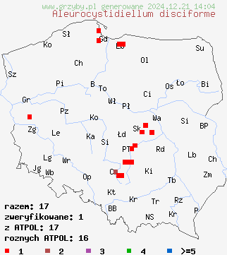 znaleziska Aleurocystidiellum disciforme (tarczóweczka krążkowata) na terenie Polski