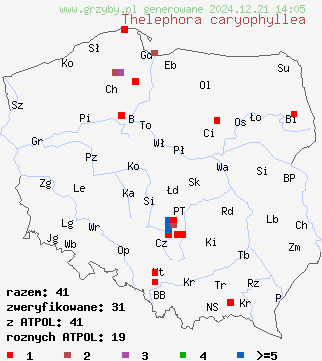 znaleziska Thelephora caryophyllea (chropiatka lejkowata) na terenie Polski