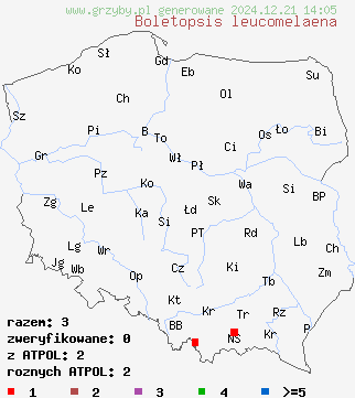 znaleziska Boletopsis leucomelaena (szaraczek świerkowy) na terenie Polski