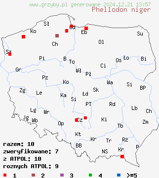 znaleziska Phellodon niger (korkoząb czarniawy) na terenie Polski