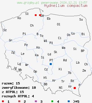 znaleziska Hydnellum compactum (kolczakówka żółtobrązowa) na terenie Polski