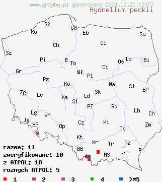 znaleziska Hydnellum peckii (kolczakówka piekąca) na terenie Polski