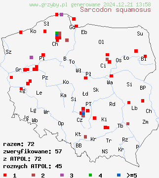 znaleziska Sarcodon squamosus (sarniak sosnowy) na terenie Polski