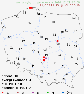 znaleziska Hydnellum glaucopus (kolczakówka sinostopa) na terenie Polski