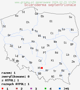 znaleziska Scleroderma septentrionale (tęgoskór korzeniasty) na terenie Polski