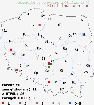 znaleziska Pisolithus arhizus (purchatnica piaskowa) na terenie Polski