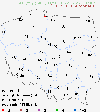 znaleziska Cyathus stercoreus (kubek gnojowy) na terenie Polski