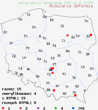 znaleziska Nidularia deformis (gniazdnica kulista) na terenie Polski